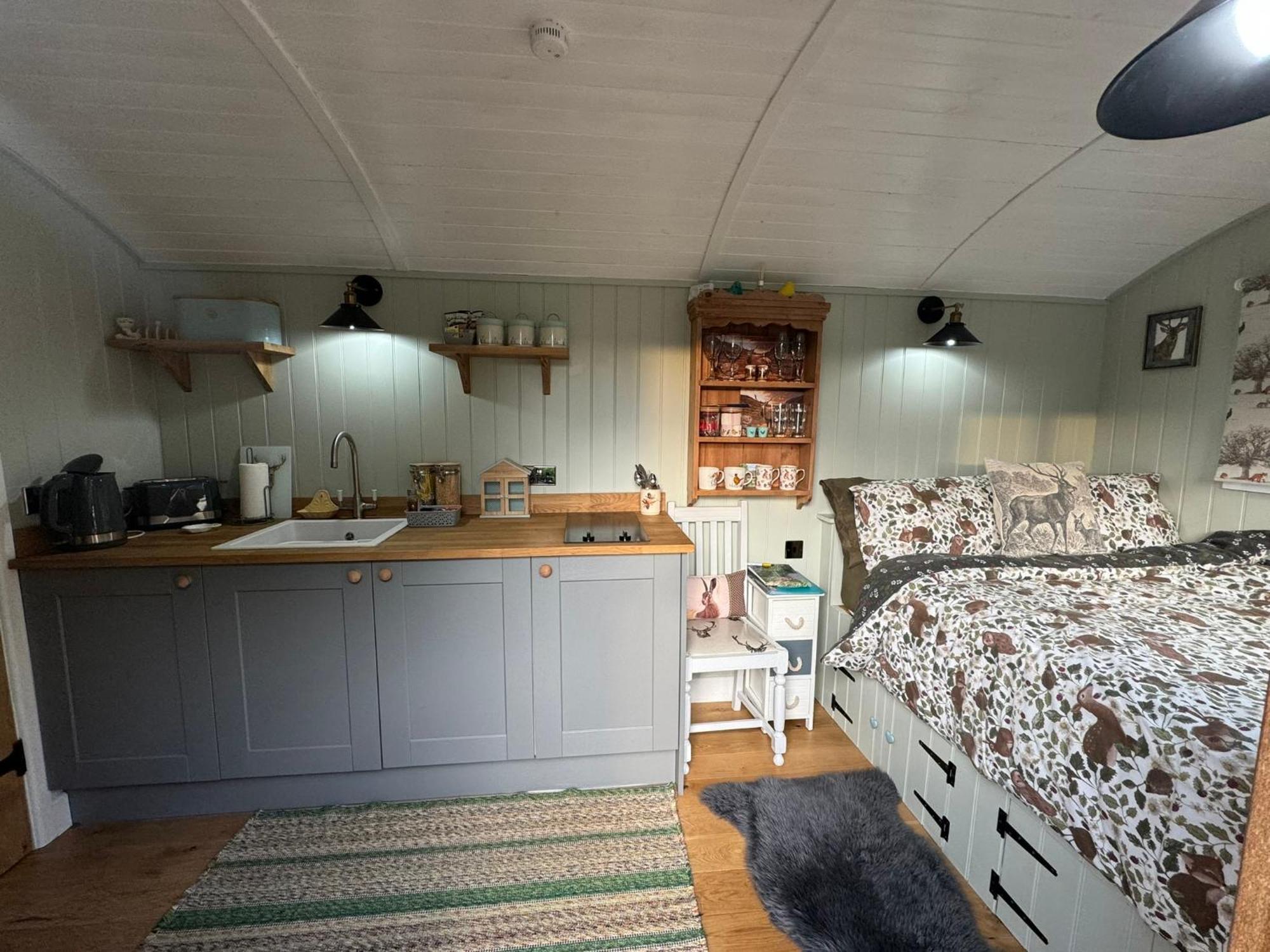 Forest View Shepherd Hut Ewhurst Екстер'єр фото